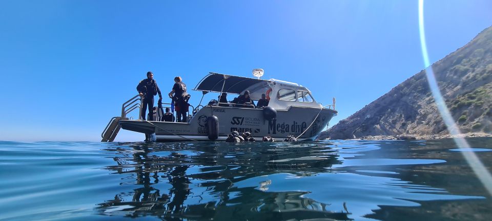 Sesimbra: Double Dive on a Marine Reserve