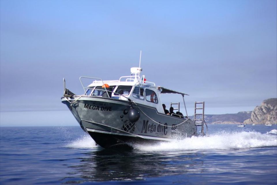 1 sesimbra sunset boat tour Sesimbra: Sunset Boat Tour