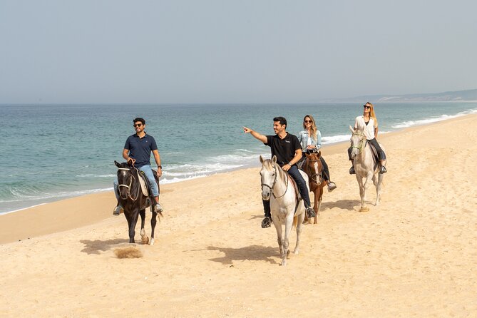 1 setubal comporta trip with horseback riding from lisbon Setubal & Comporta Trip With Horseback Riding From Lisbon
