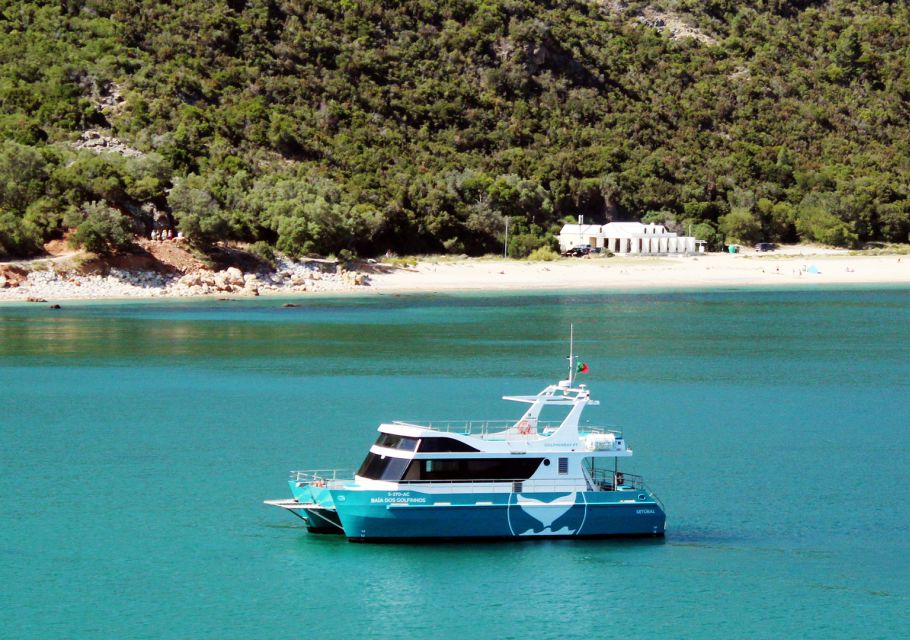 1 setubal dolphin watching tour Setúbal: Dolphin Watching Tour