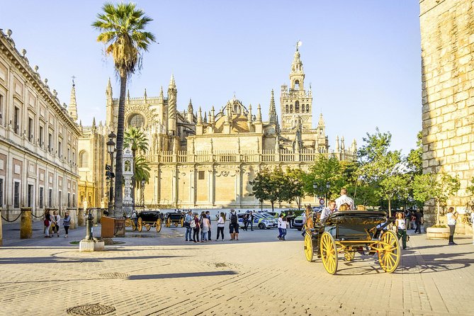Seville One Day Trip From Granada, Alcazar, Cathedral and Giralda Guided Tour.