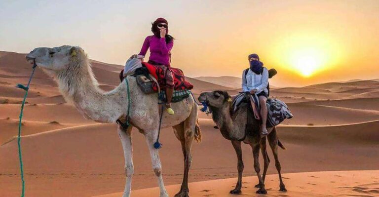 Shared 3-Day Sahara Desert Tours From Marrakech