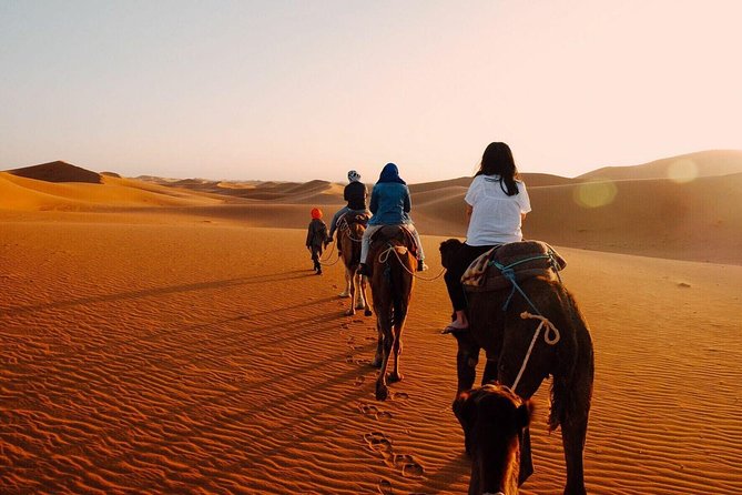 Shared Group Fez To Marrakech via Merzouga Desert Tour 2 Days