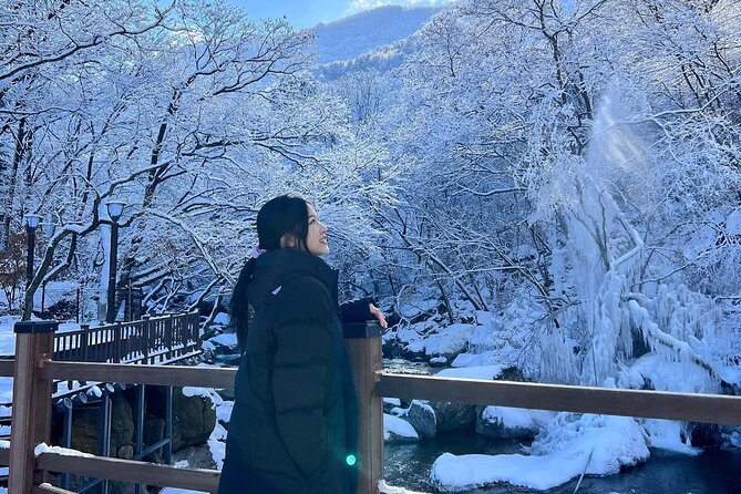 Shared Korean Winter Tour at Nami Island With Professional Guide