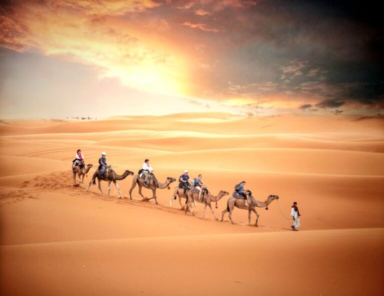 Shared Sahara Desert Tours From Marrakech