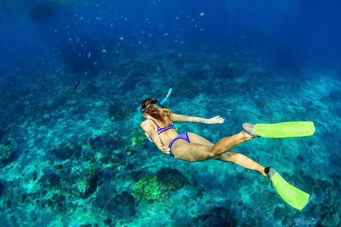 Shared Swim and Snorkel Tour in Rhodes