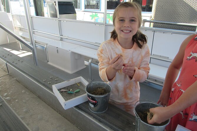 Shark Teeth and Shells, Dolphin and Shelling Tour Boat Clearwater Beach