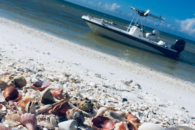 1 shelling tours fort myers beach naples Shelling Tours - Fort Myers Beach / Naples