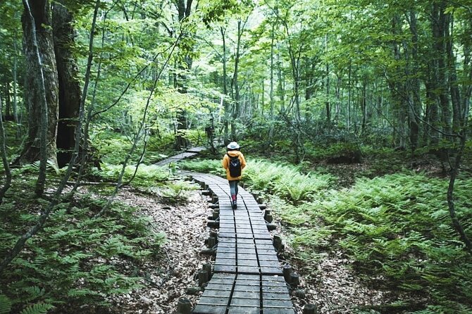 Shirakami-Sanchi: Private Day Hiking Tour  – Aomori Prefecture