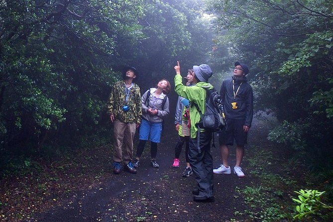 1 shiratani unsuikyo trekking tour in yakushima island Shiratani-Unsuikyo Trekking Tour in Yakushima Island
