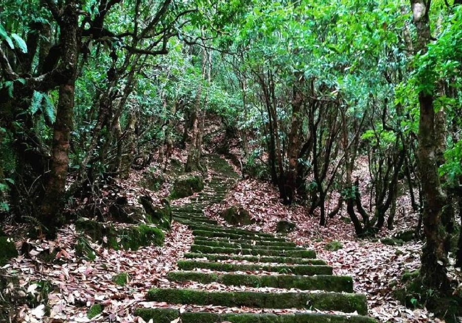 Shivapuri-Nagarjun Hiking