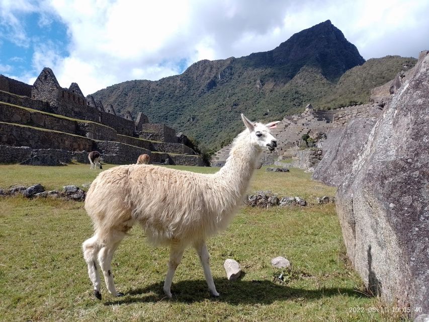 1 short inca trail hike sacred valley with rainbow mountain Short Inca Trail Hike, Sacred Valley, With Rainbow Mountain