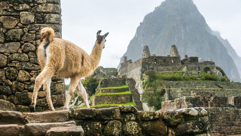 1 short inca trail to machu picchu 2 days 2 Short Inca Trail to Machu Picchu 2 Days