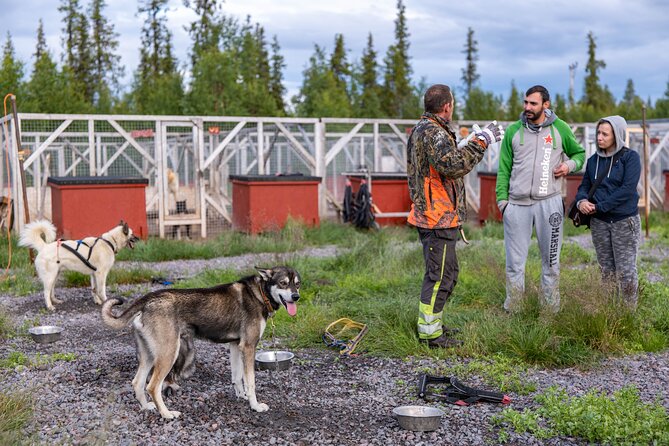 Short Norrbotten County Huskies Visit  – Kiruna