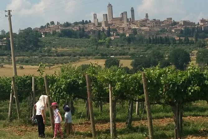 Siena Monteriggioni San Gimignano With Lunch&Winetasting Fullday From Florence