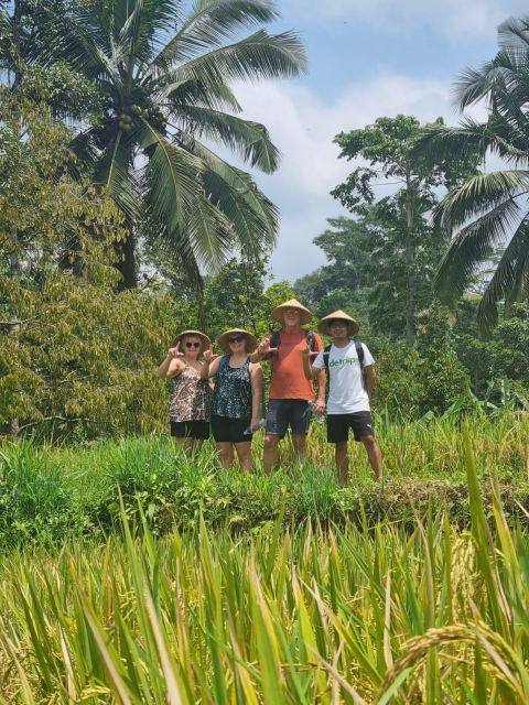 1 sightseeing and walking on rice terrace explore waterfalls Sightseeing and Walking on Rice Terrace & Explore Waterfalls