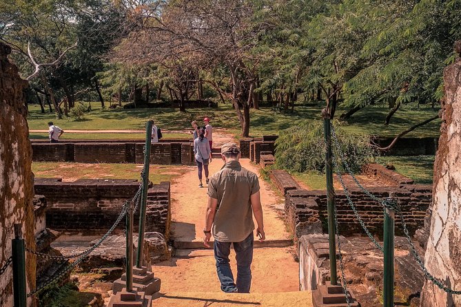 Sigiriya, Polonnaruwa & Dambulla “Trilogy” Day Tour From Colombo