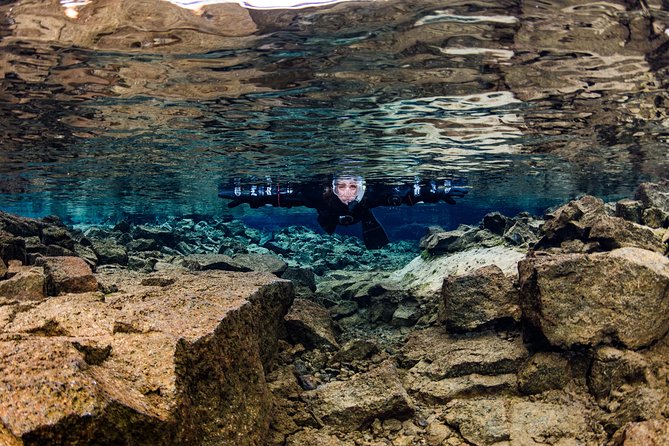 1 silfra snorkeling between tectonic plates with pick up from reykjavik Silfra: Snorkeling Between Tectonic Plates With Pick up From Reykjavik