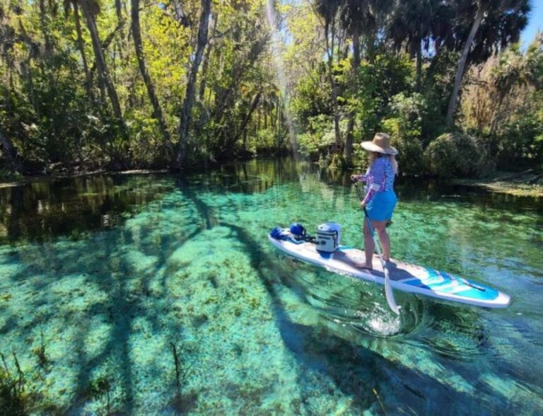 Silver Springs: Manatees and Monkeys Clear Kayak Guided Tour