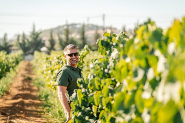 Silves: Algarve Vineyard Tour With Premium Wine Tasting