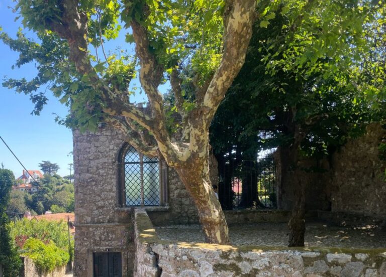 Sintra: Adventure Hike Around Sintra’s Most Popular Castles