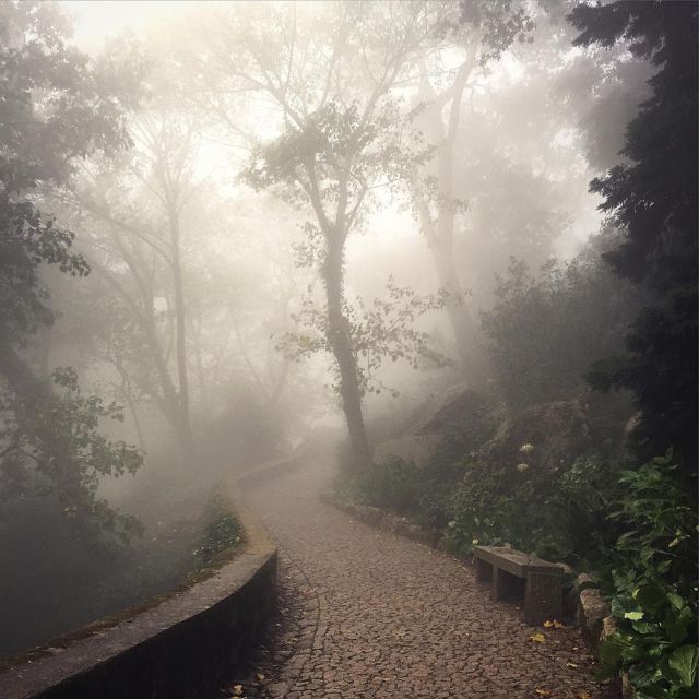 Sintra: Legends and Medieval Stories Private Walking Tour