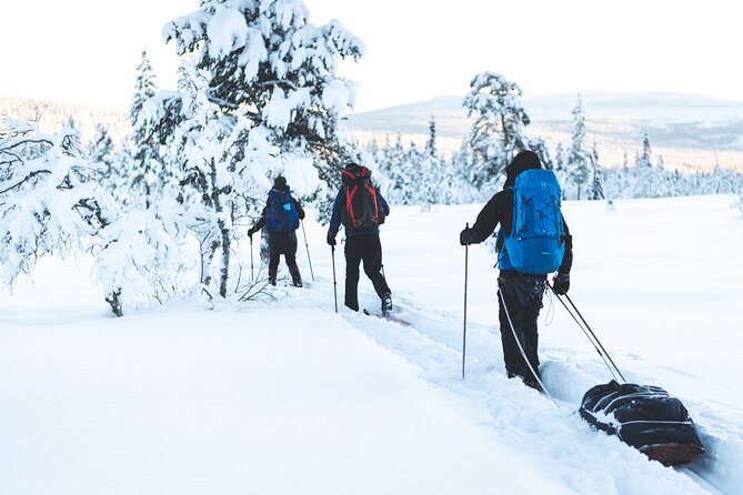 Ski Touring and Winter Fun in Fulufjallet Mountain Plateau