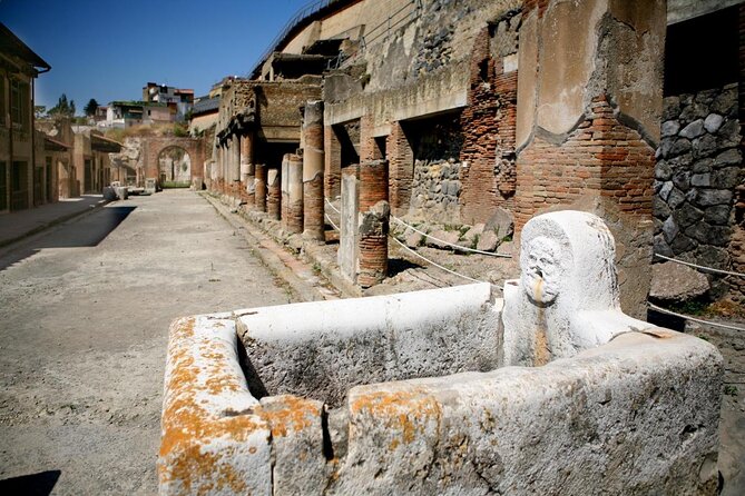 Skip the Line Half Day Private Tour of Herculaneum Highlights With Local Guide