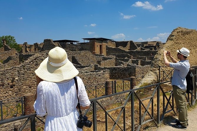 Skip the Line Private Pompeii and Herculaneum Tour With Local Guide
