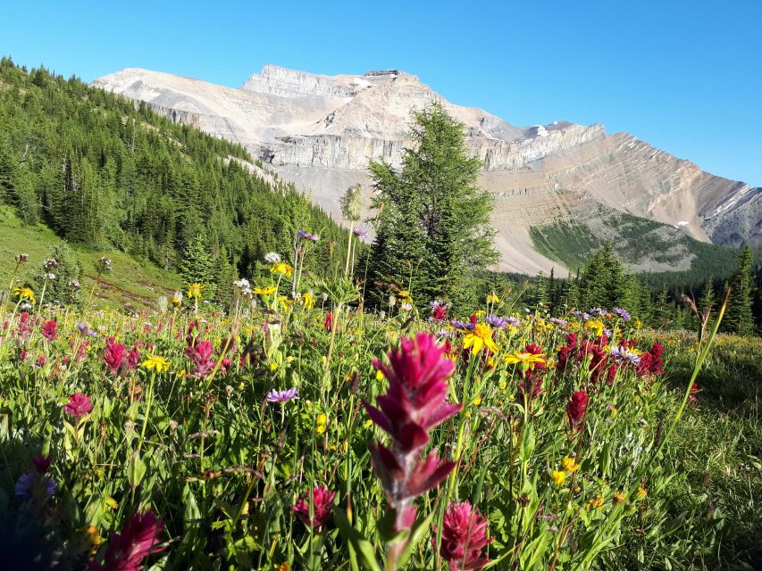 1 skoki lake louise daily guided hike in the canadian rockies Skoki Lake Louise Daily Guided Hike in the Canadian Rockies