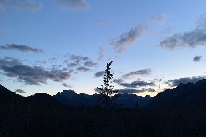 Small-Group 2-Hour Evening Hike With Stargazing, Banff
