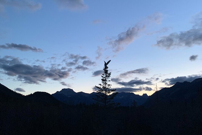 1 small group 2 hour evening hike with stargazing banff Small-Group 2-Hour Evening Hike With Stargazing, Banff