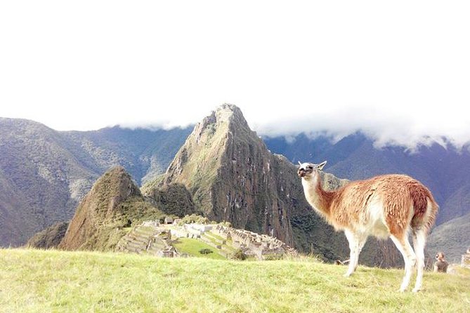 Small-Group Day Tour to Machu Picchu