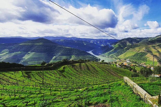 Small Group Douro Wine Valley Tour With Lunch and Wine Tasting