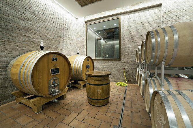 Small-Group Exclusive Winery and Wine Tasting Tour in Frascati