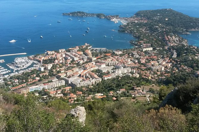 Small-Group Half-Day Tour of the French Riviera Corniches and Monaco From Nice