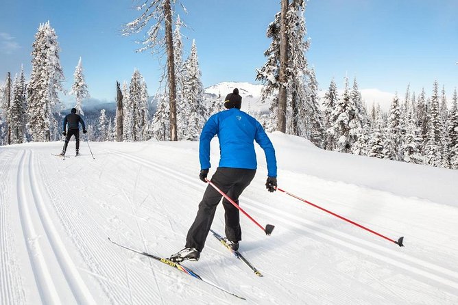 Small-Group Lapland Cross Country Ski