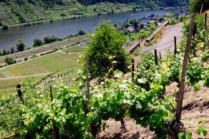Small-Group Moselle Valley Day Trip From Frankfurt