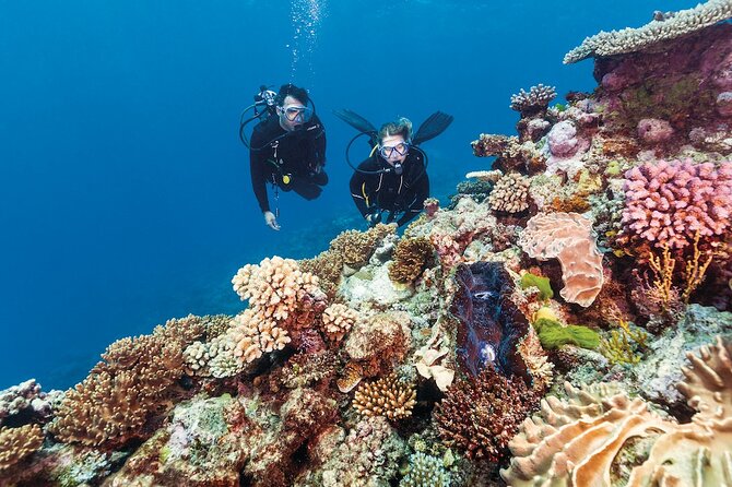 Small Group Scuba Diving Experience in Maiton Private Island