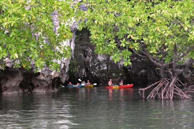 Small-Group Sea Kayaking in Ao Thalane Bay and Hong Island From Krabi