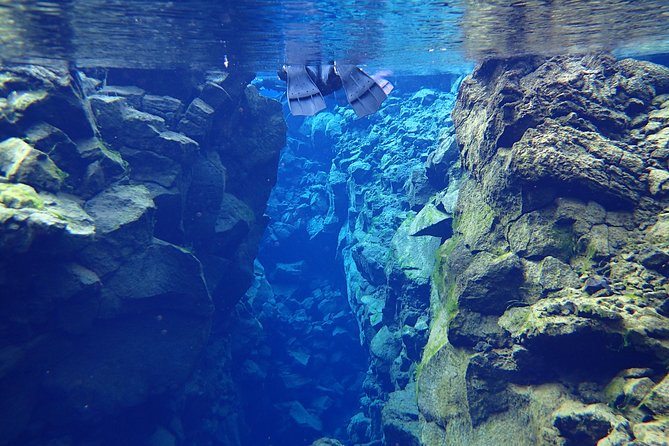 Small-Group Snorkeling Experience at Silfra Fissure in Thingvellir National Park