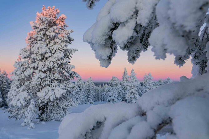 Small-Group Snowshoeing Adventure In Lapland