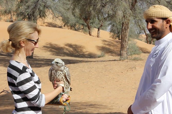 Small-Group Tour: Falcon 2—Dubai Falconry Safari