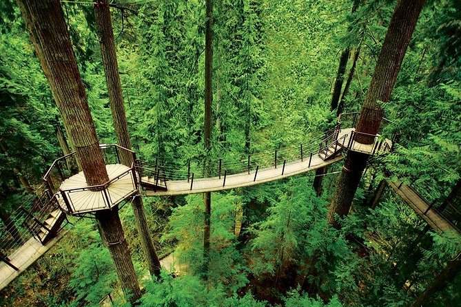 Small Group Tour: Vancouver Sightseeing and Capilano Suspension Bridge