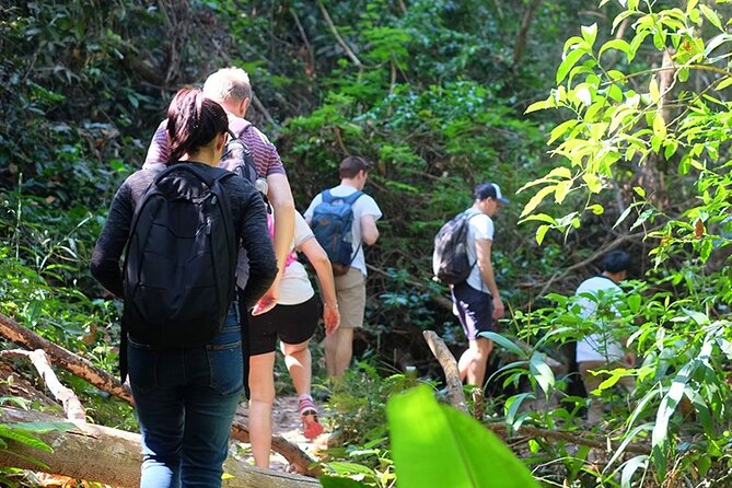 Small Group : Trekking Trip in Chiang Mai (Doi Suthep Area) With Market Tour