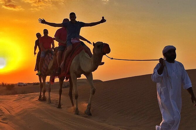 Small-Group UTV Open Desert Adventure With Camel Ride