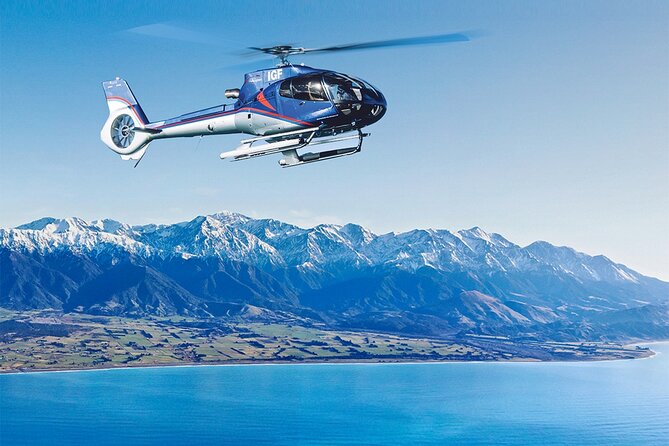 Small-Group Whale-Watching Flight: Kaikoura From Christchurch