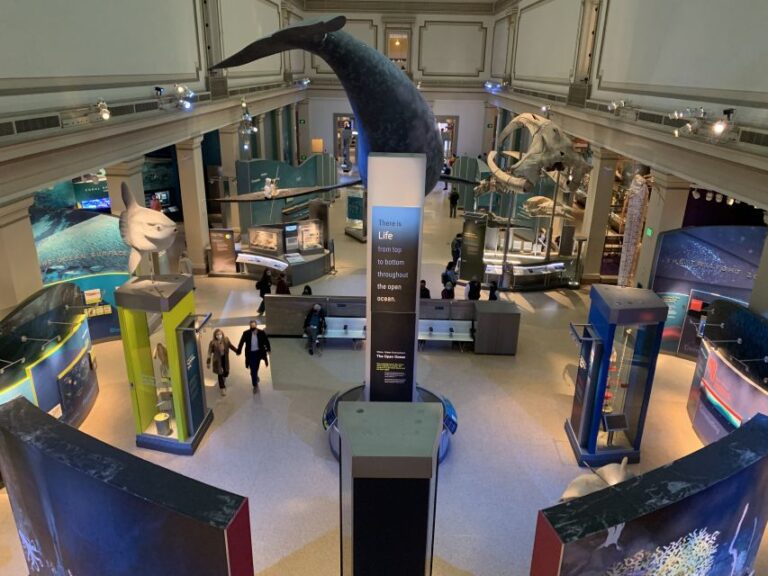 Smithsonian National Museum of Natural History Guided Tour