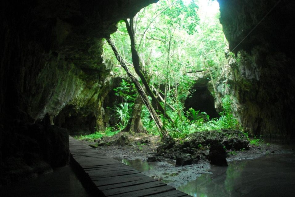 Snorkel Cenotes Day With Transportation - Experience Highlights
