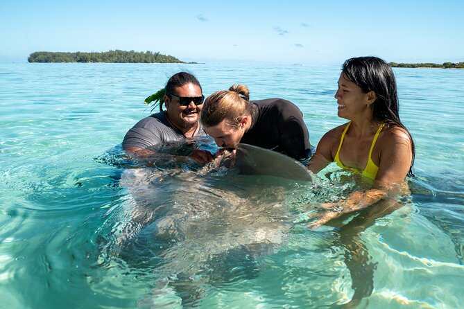 1 snorkeling excursion and encounter with marine fauna in moorea Snorkeling Excursion and Encounter With Marine Fauna in Moorea